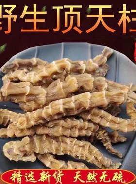 【回春草】顶天柱 不老草硬的快云南野生 持久泡茶泡酒料配起阳草
