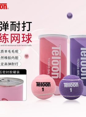 Teloon天龙网球粉色紫色罐装训练球高弹耐打耐磨男女专业训练网球