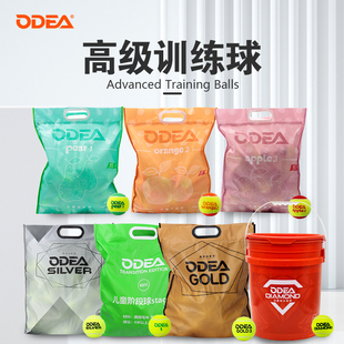 GOLD初学练习球 DD8 odear欧帝尔网球训练球成人儿童无压DD2 DD3