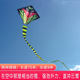 彩印长蛇三角长尾风筝公园广场微风易飞儿童风筝地摊玩具货源