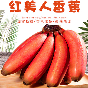 广西正宗红美人香蕉新鲜水果当季自然熟红皮香蕉现摘孕妇纯甜可口