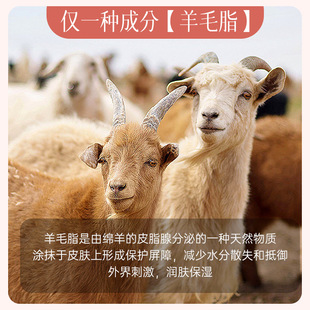 润而不油好吸收细腻肌肤日常护理 ointment羊脂膏保湿 Sheep fat