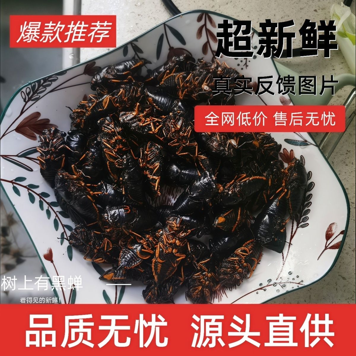 2026年新鲜黑蝉黑知了猴活体速冻猴知了龟结了龟黑知了猴子知了