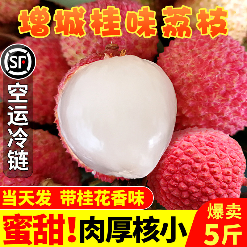 Shunfeng Guangdong Zengcheng Guiwei Litchi fresh Now pick Now send Season Fruit 5 Maoming King Lychee Gift box 10in the Aquatic meat/Fresh fruits and vegetables/Cooked , Fresh fruit , Litchi  category - from Buy2taobao.com to provide professional Taobao agent buy service