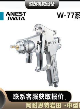 日本岩田W-2S.TC喷漆枪1