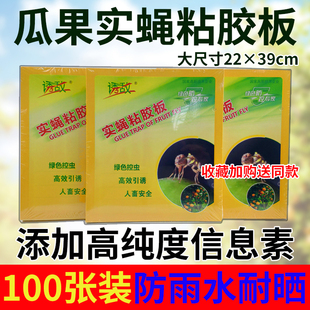诱敌实蝇粘胶板双面果蝇贴粘针蜂农用粘虫板瓜果实蝇诱粘板诱捕器