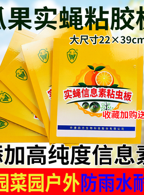 果蝇贴昆虫信息素粘虫板双面黄板果园实蝇粘胶板农用诱虫针蜂贴