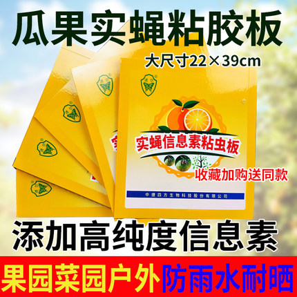 果蝇贴昆虫信息素粘虫板双面黄板果园实蝇粘胶板农用诱虫针蜂贴
