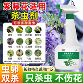 紫藤花除虫花卉杀虫剂红蜘蛛杀虫剂花卉植物通用绿植土壤蚜虫喷剂