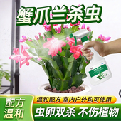 蟹爪兰杀虫剂蚧壳虫专用药介壳除长虫喷雾虫药虫害绿植花卉杀虫剂