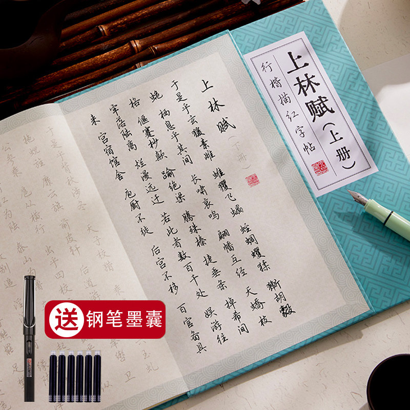 上林赋行楷钢笔贴全篇