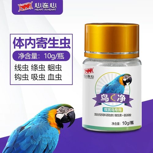 鹦鹉鸟玄凤清理打虫体内虫心连心
