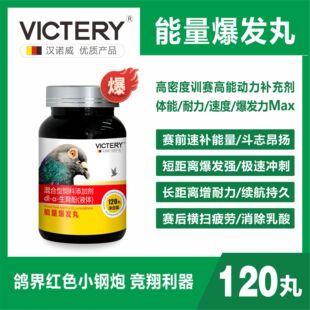汉诺威鸽药能量爆发丸赛鸽子比赛专用调理补体能提速消疲劳耐飞翔