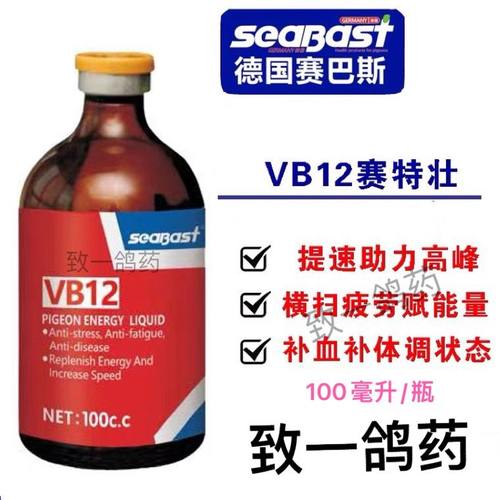 赛巴斯赛信鸽比赛提速促