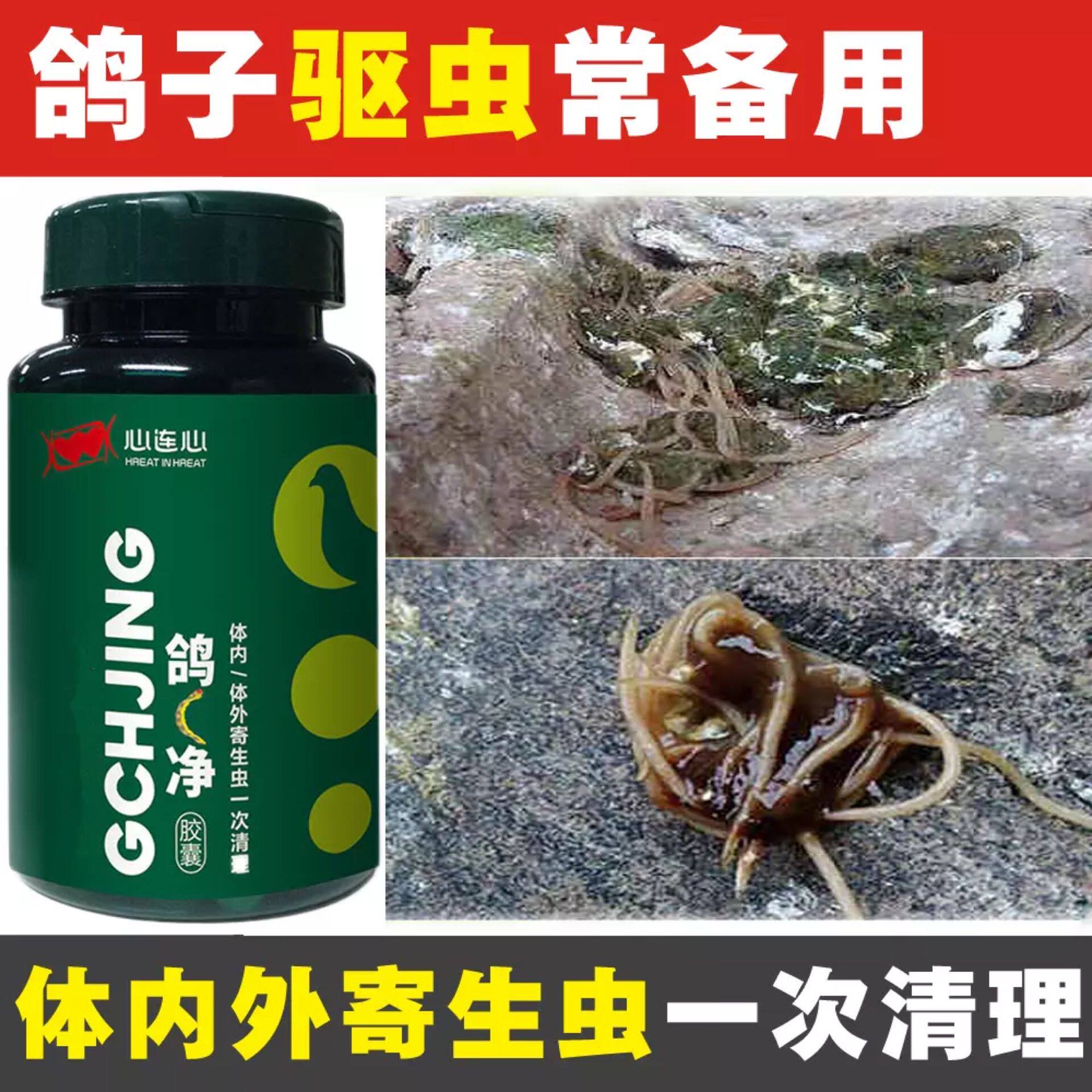 心连心鸽c净赛鸽/种鸽清理体内寄生虫蛔虫线虫专用鸽子鹦鹉鸟消瘦