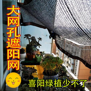 薄款遮阳网三针大孔防晒网加筋耐用养花绿植多肉遮光防落叶透光网