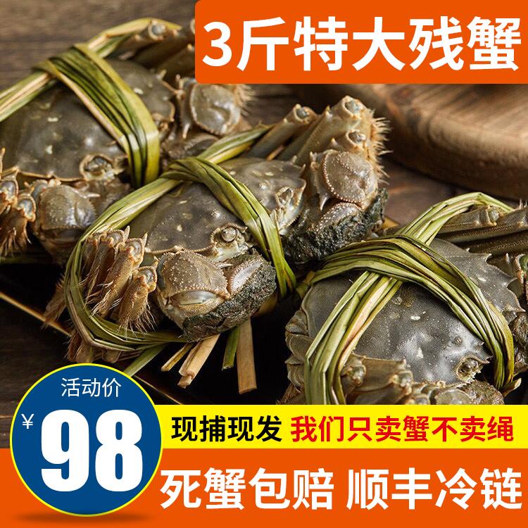 活物10只装大闸蟹鲜活残蟹残次蟹断脚蟹掉脚全公螃蟹海鲜特大现货