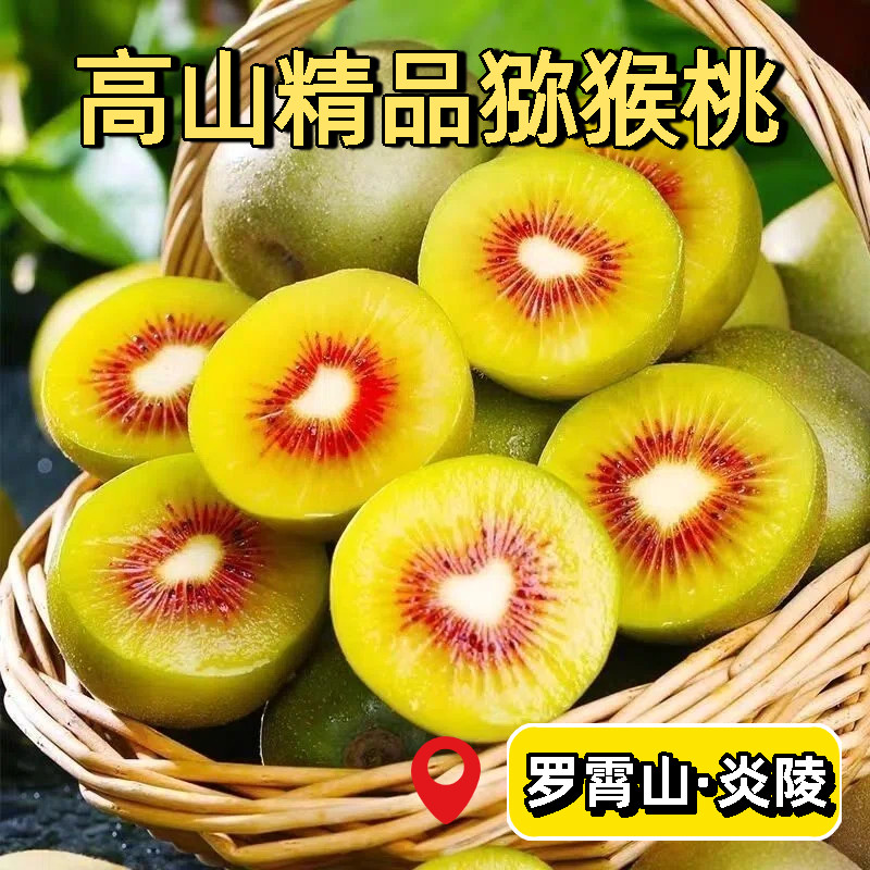 高品质高山精品红心猕猴桃