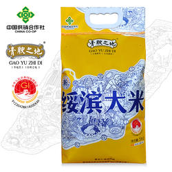 【25年新米上市】东北大米稻花香100%鹤岗特产绥滨大米团购特惠