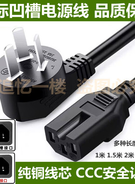 适用西屋WSC-1401 多功能烹饪锅烤炉火锅10A250V三孔插头充电源线