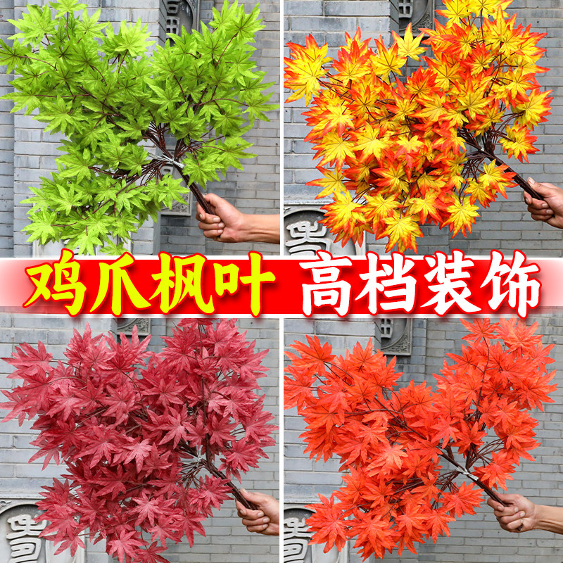 仿真鸡爪槭枫叶秋色红枫树枝叶子图片