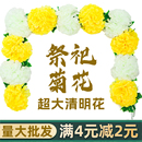 仿真花菊花墓地墓碑扫墓祭祀上坟装 饰清明花假花藤条塑料拉花祭奠
