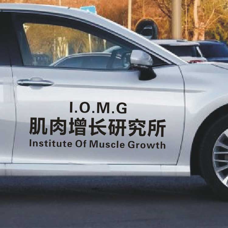 汽车贴纸肌肉增长研究所车门贴纸个性装饰网红文字抖音拉花车身贴