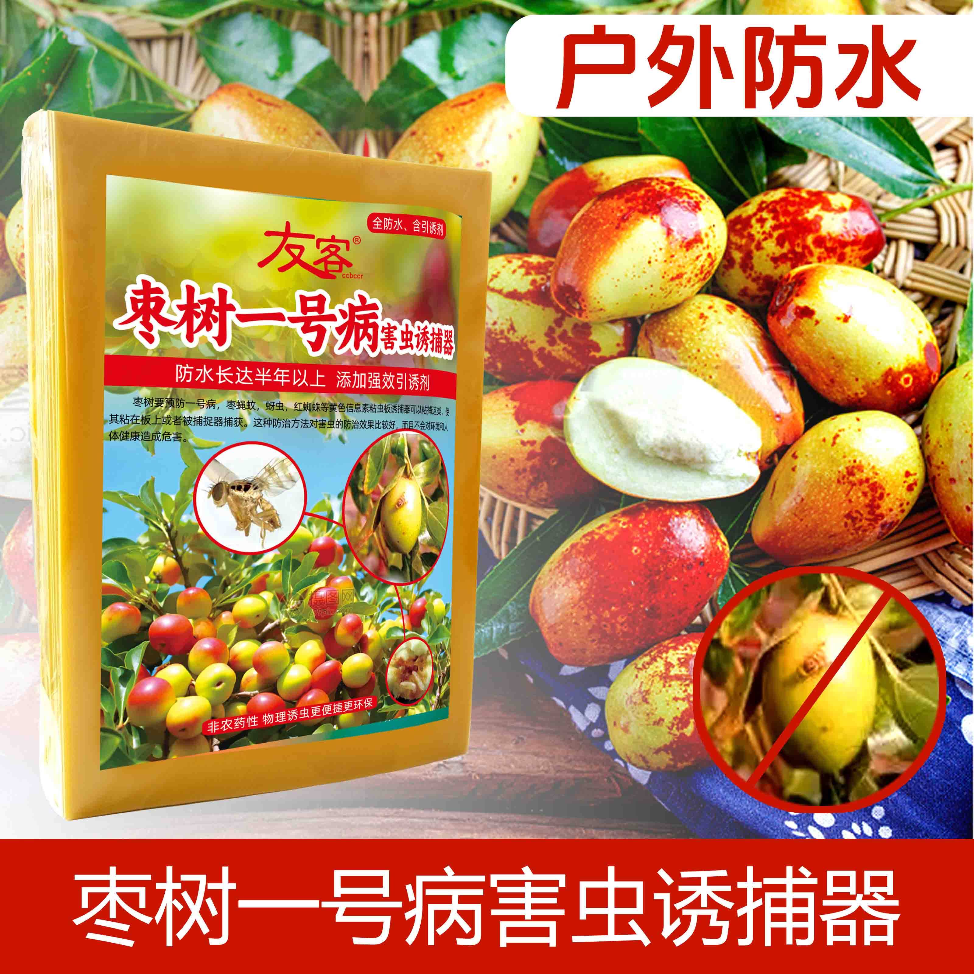 枣树一号病粘板枣实蝇粘果蝇针锋粘虫板诱虫板黄色果实蝇灭飞虫板