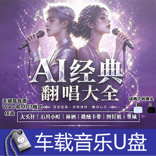 大头针 石川小町 林栖 微醺卡带 图钉姐 墨城AI经典翻唱无损音U盘