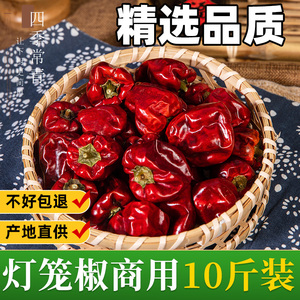 灯笼椒商用干辣椒10斤装正宗四川本地大小海椒红圆干货微辣特香