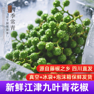 新鲜青花椒椒正宗四川重庆江津九叶青真空冷冻保鲜生藤椒麻椒花椒