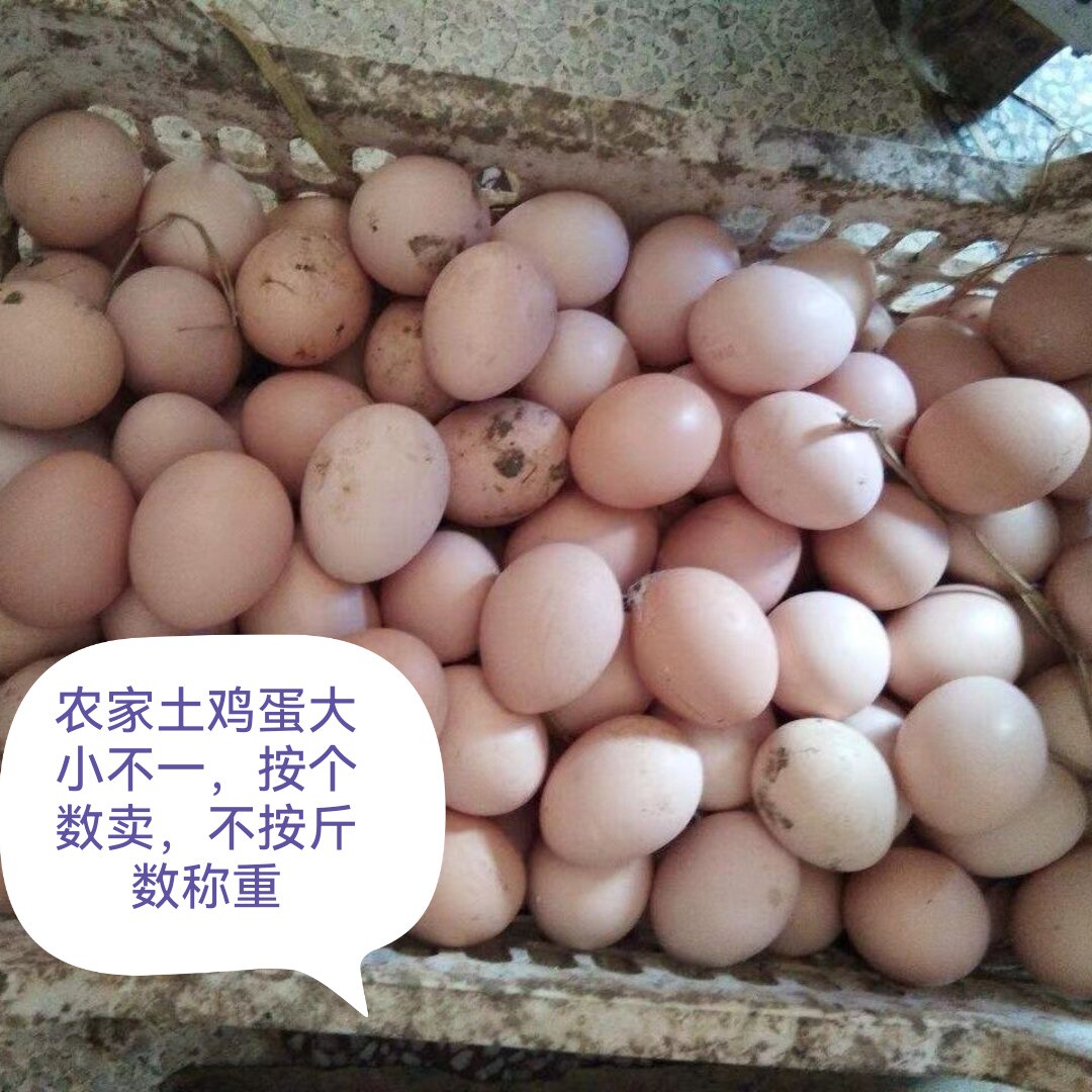 贵州农村农户散养本地土鸡蛋