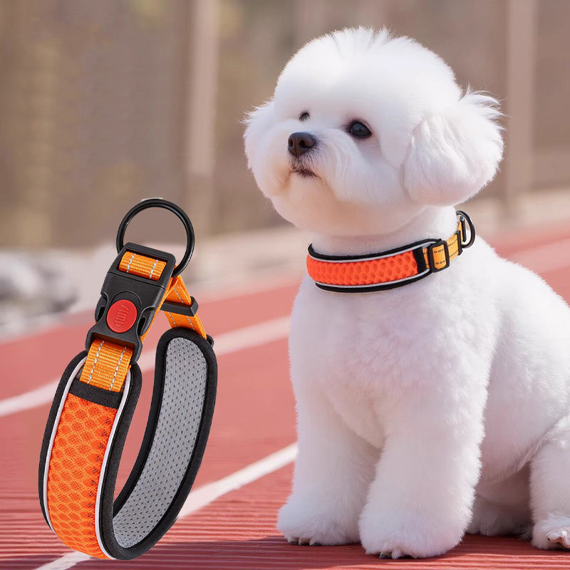 狗狗项圈狗链脖圈小型犬颈圈脖套宠物狗圈运动户外遛狗可牵引狗环