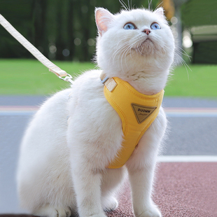 猫咪牵引绳猫绳子防挣脱胸背带背心溜猫绳橘猫外出透气牵猫绳猫链