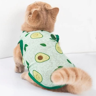 猫咪衣服夏季薄款两脚衣布偶猫小奶猫专用透气背心防脏两脚衣夏装