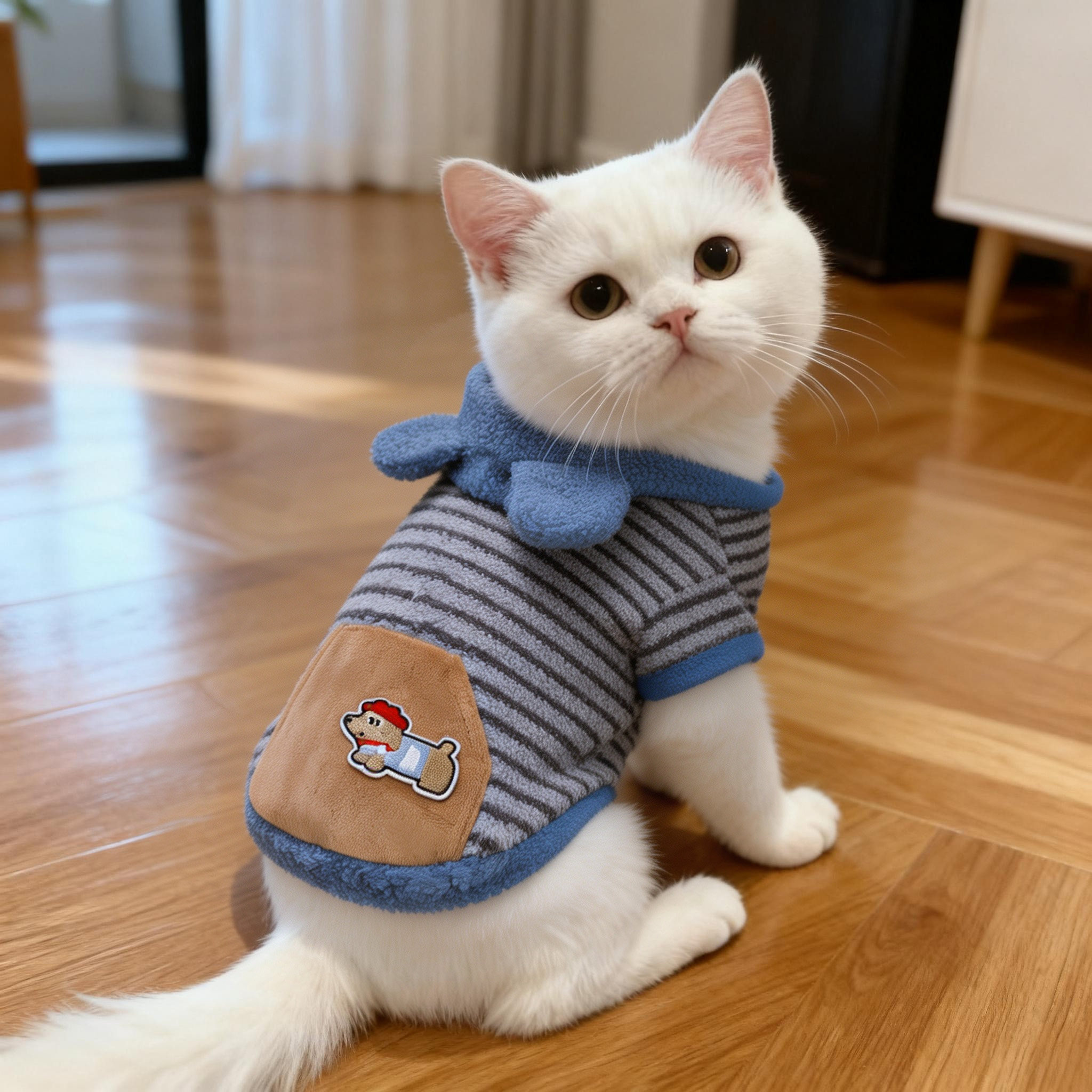 猫咪衣服缅因猫幼猫银渐层高颜值小奶猫防掉毛冬季加绒棉服连帽衣图片