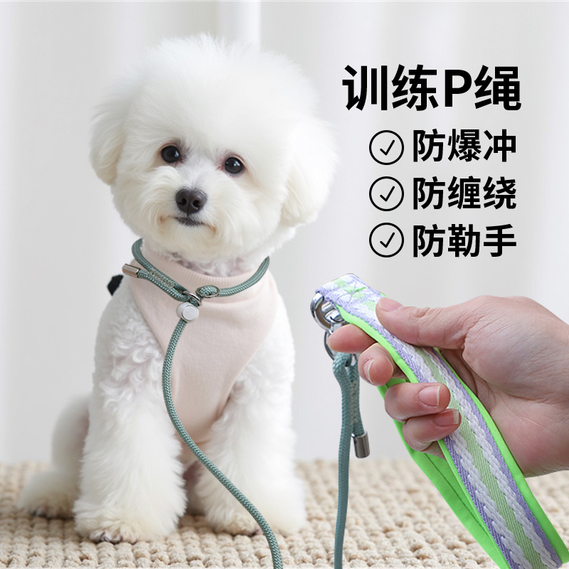 赛级P绳P链狗狗牵引绳训犬狗绳