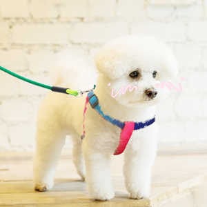 中小型犬牵引绳狗绳