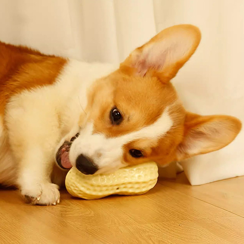 硅胶玩具狗狗磨牙洁齿幼犬小型犬高颜值发声陪伴自嗨解闷花生玩偶