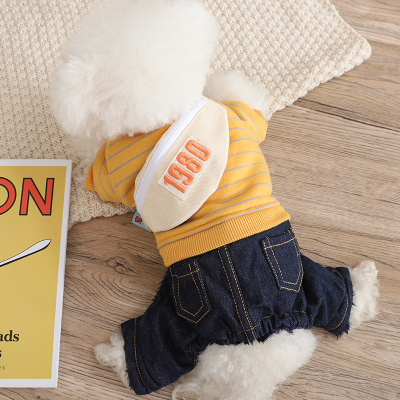 peta棕色泰迪小奶狗秋季