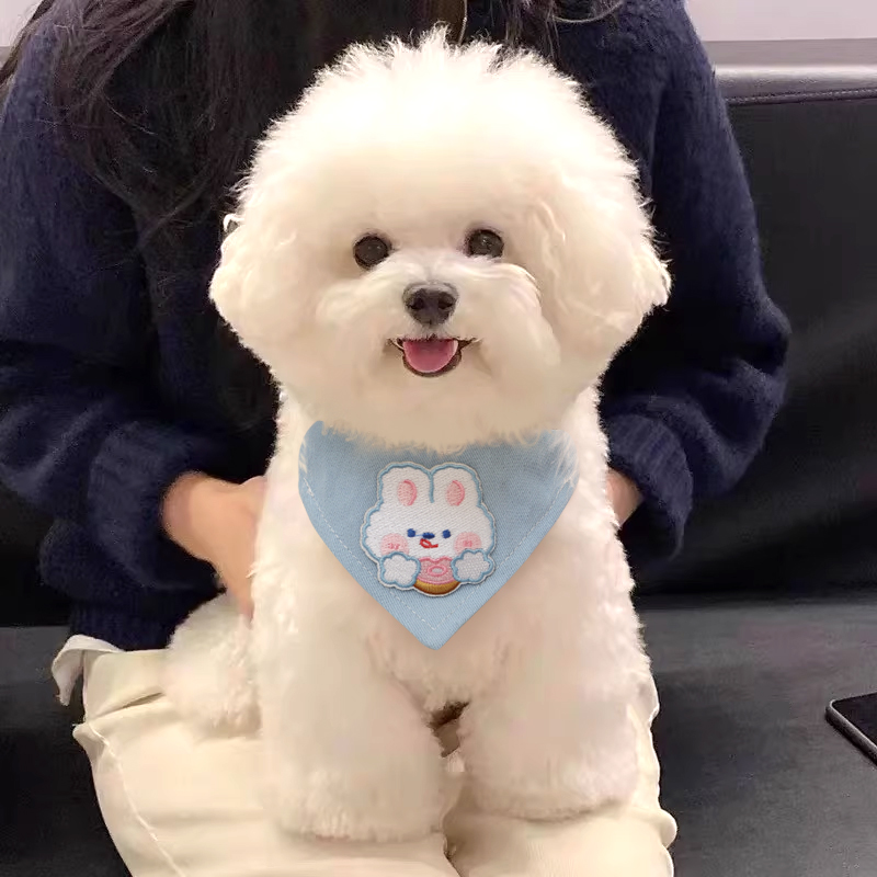 比熊拍照专用项圈三角巾