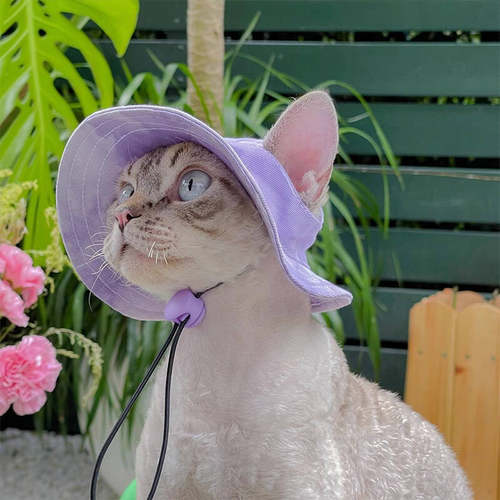 猫咪帽子露耳朵小猫专用可爱猫猫夏季德文猫遮阳防晒帽幼猫渔夫帽