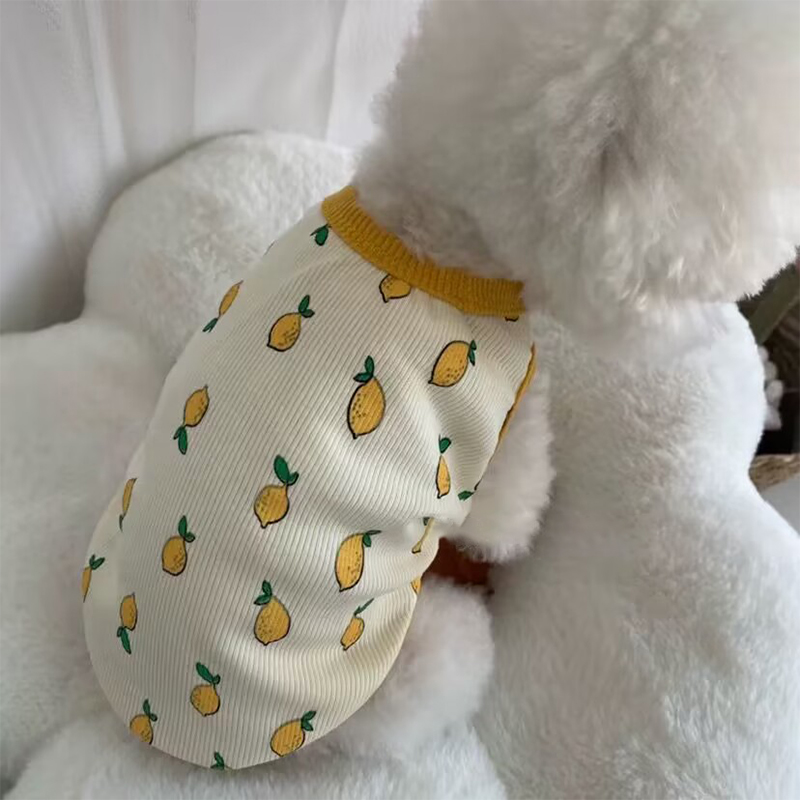 狗狗衣服2025新款冬小型犬保暖冬季雪纳瑞防掉毛加厚外出可爱背心