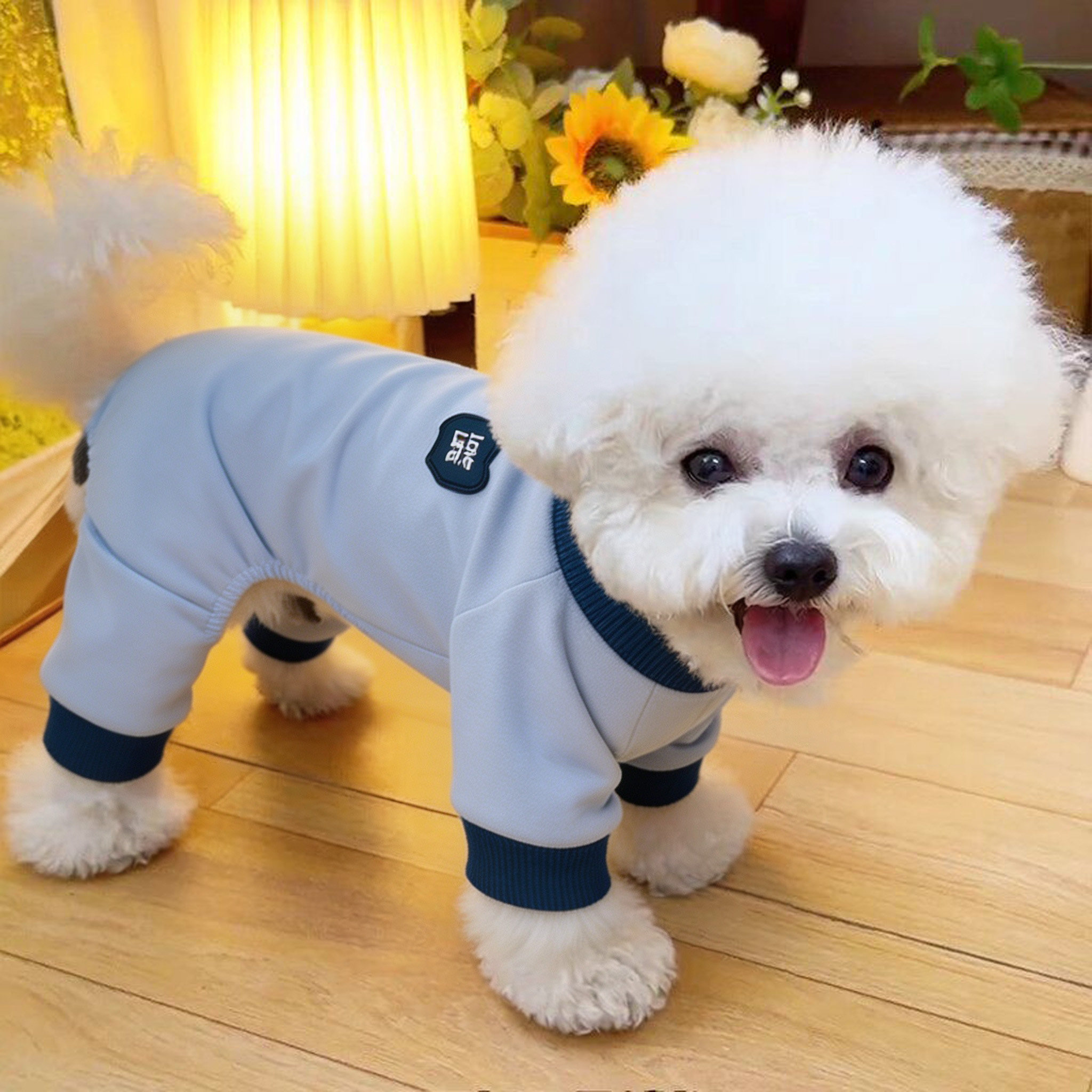 狗狗衣服小型犬春秋小狗外出防脏秋天新款马尔济斯比熊四脚衣幼犬图片