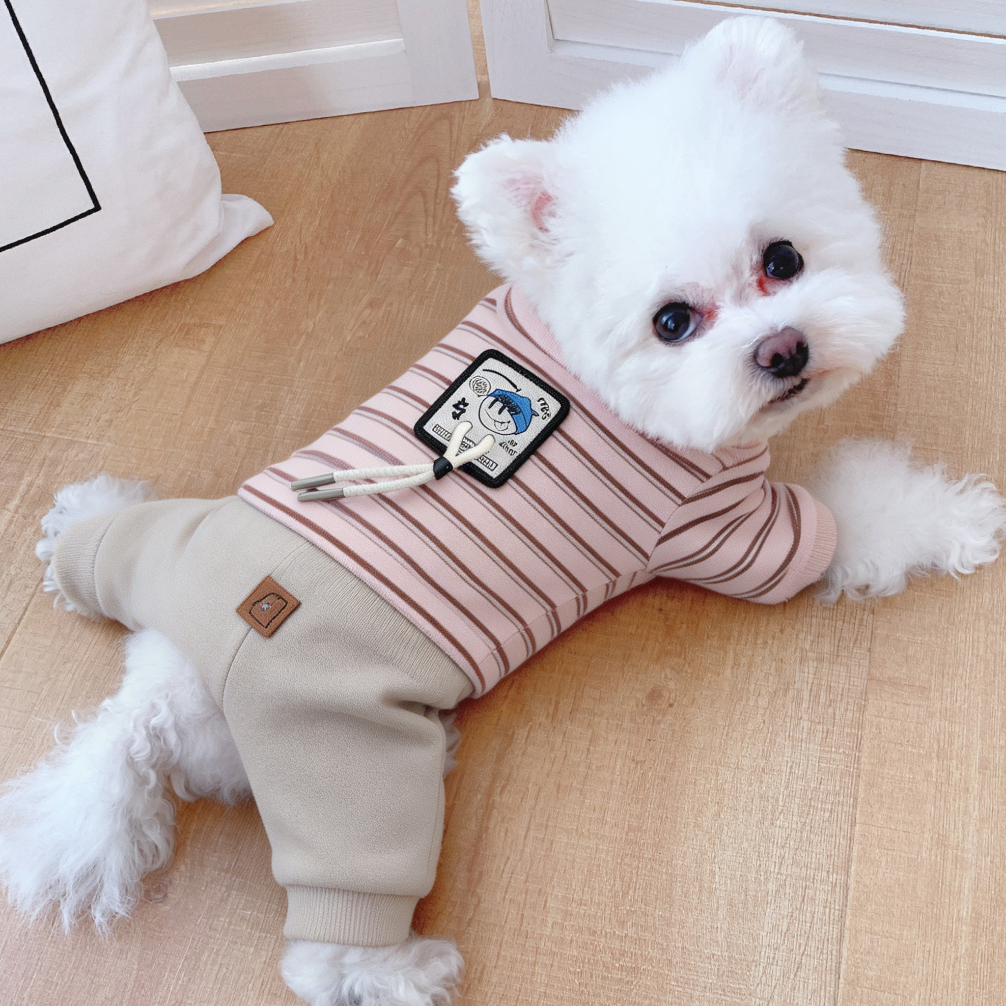 狗狗衣服小体比熊幼犬高颜值雪纳瑞防脏冬装四脚条纹加绒保暖冬天图片