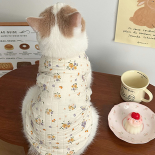 猫咪衣服冬季外出保暖棉背心波斯猫时尚简约韩系休闲马甲宠物冬装