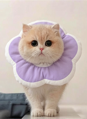 猫伊丽莎白圈猫绝育项圈猫咪软圈花朵紫色舒适颈圈配饰金渐层项圈