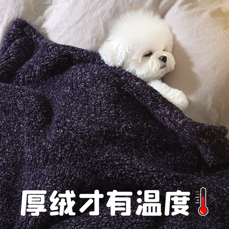 狗毛毯狗被子四季通用小狗睡觉冬季保暖双面绒狗狗冬天厚款绒毛毯
