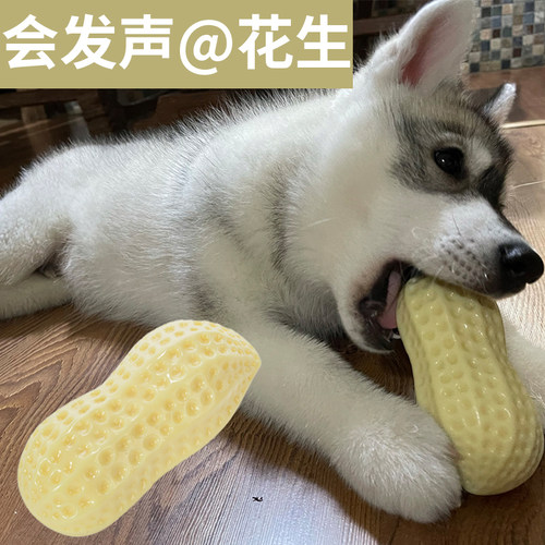 狗狗花生玩偶高颜值宠物用品