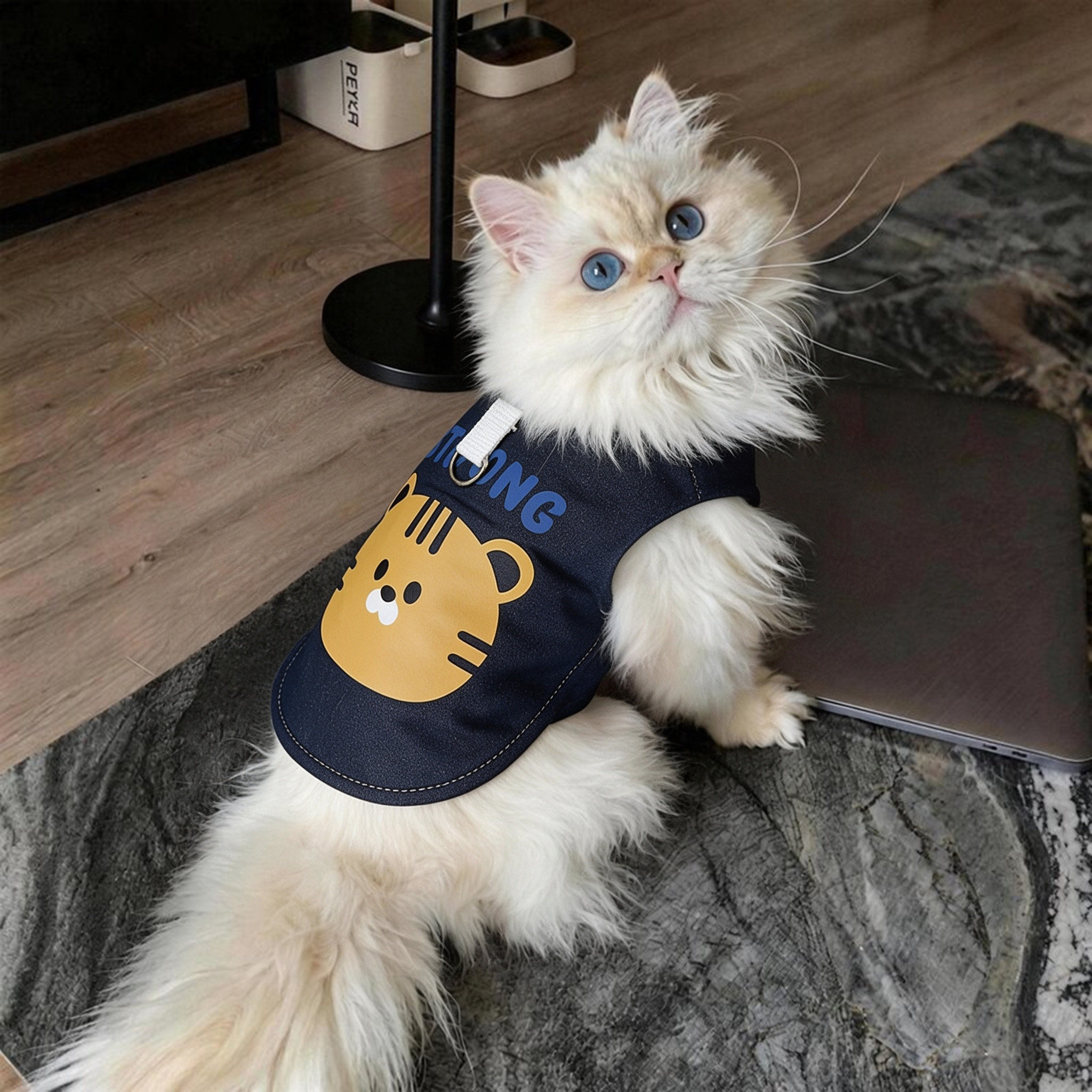 小猫衣服秋冬装金渐层防脏保暖美短棉衣高颜值卡通图案牛仔棉背心